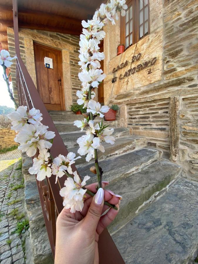 Casa Do Ti Latoeiro Konuk evi Torre De Moncorvo Dış mekan fotoğraf